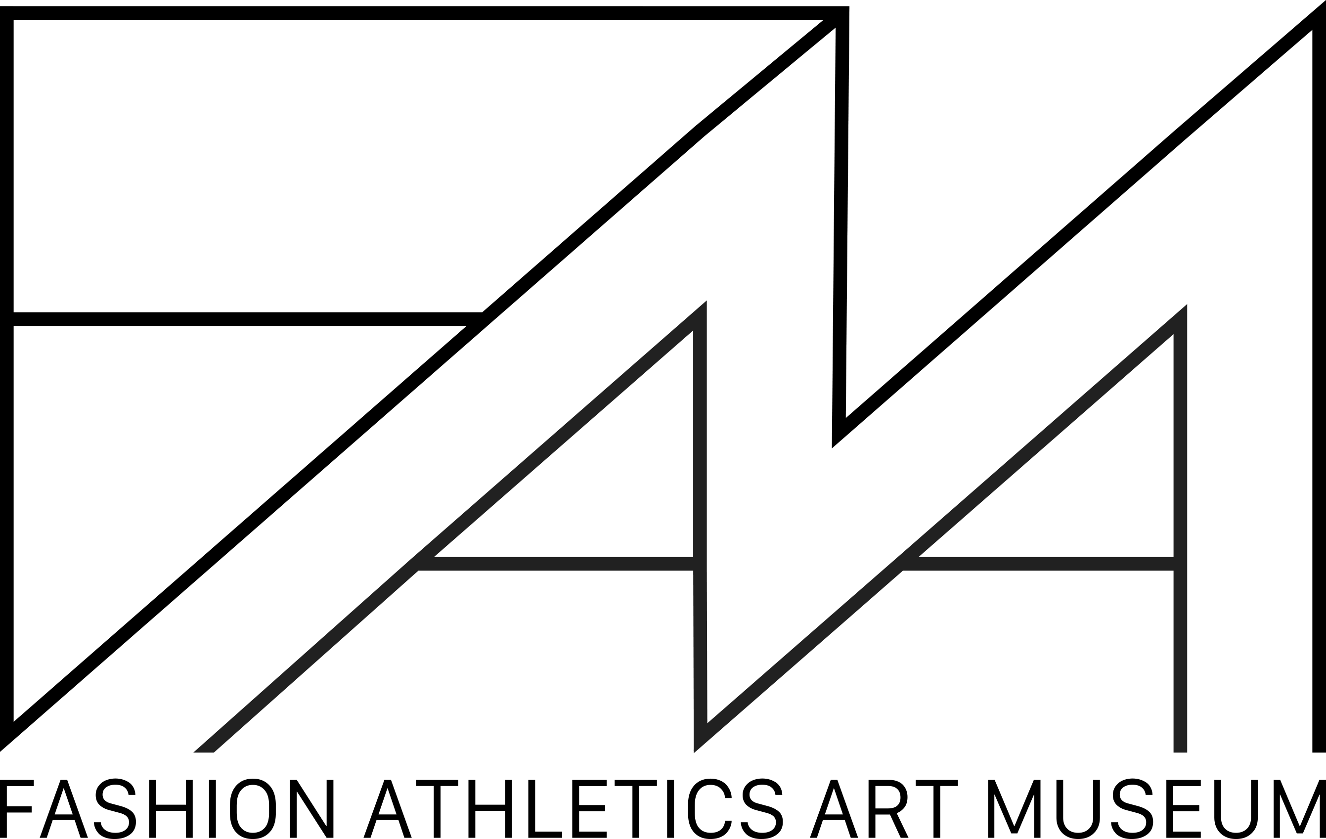 Fashion Athletics Arts Museum – FAAM Chicago